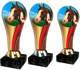 ACL2100M37 | Jezdectví 