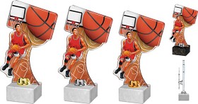 ACTD0027M1 | Basketball 