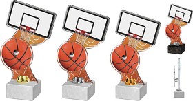 ACTD0028M3 | Basketball 