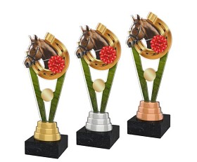 ACUTM12 | Jezdectví 