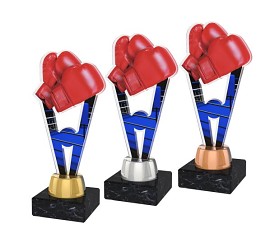 ACUTMINIM16 | Bojová umění 