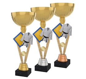 ACUPGOLD M15 | Bojová umění 