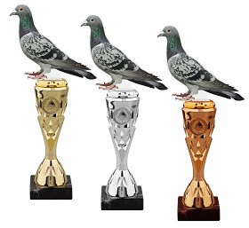 HLAC02M28 | Chovatelství 