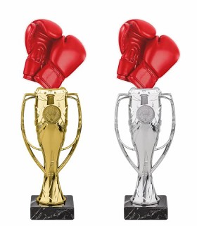 HLAC04M17 | Bojová uměni