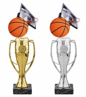 HLAC04M25 | Basketball