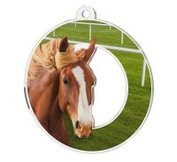 MDA0020M82 | Jezdectví 