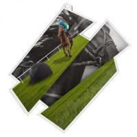 MDAZ0011M29 | Jezdectví 