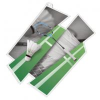 MDAZ0011M6 | Badminton 