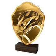 TFRW022 | Americký fotbal 