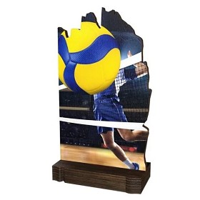 WPLA02M15 | Volejbal 