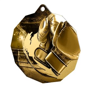 MDMR03M05 | Bojová umění 