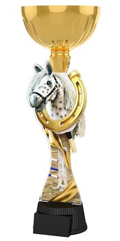 ACUPCGM123 | Hobbyhorsing 