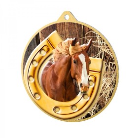 MDM01M13 | Jezdectví