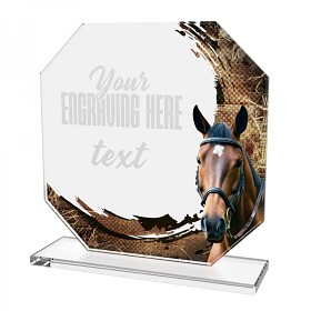 CR2024302M37 | Jezdectví 