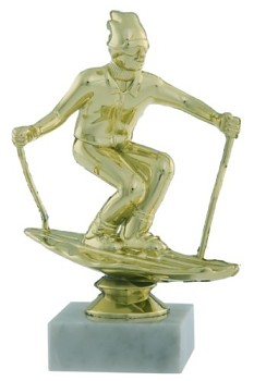 F0138 | Sjezdové lyžování 