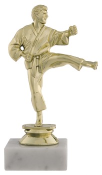 F0108 | Bojová umění 