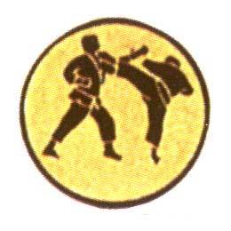 EMB78 | Bojová umění 