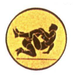 EMB80 | Bojová umění 