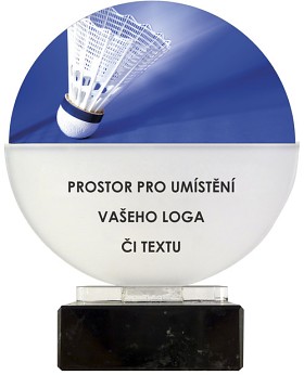 ACL6NM10 | Badminton 